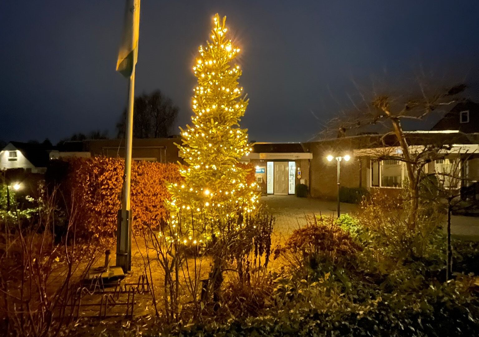 kerstboom 2025